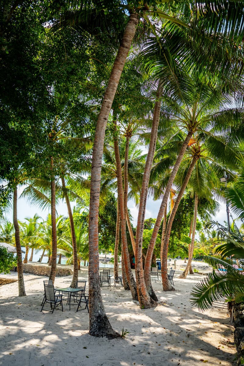 Resort pool area
