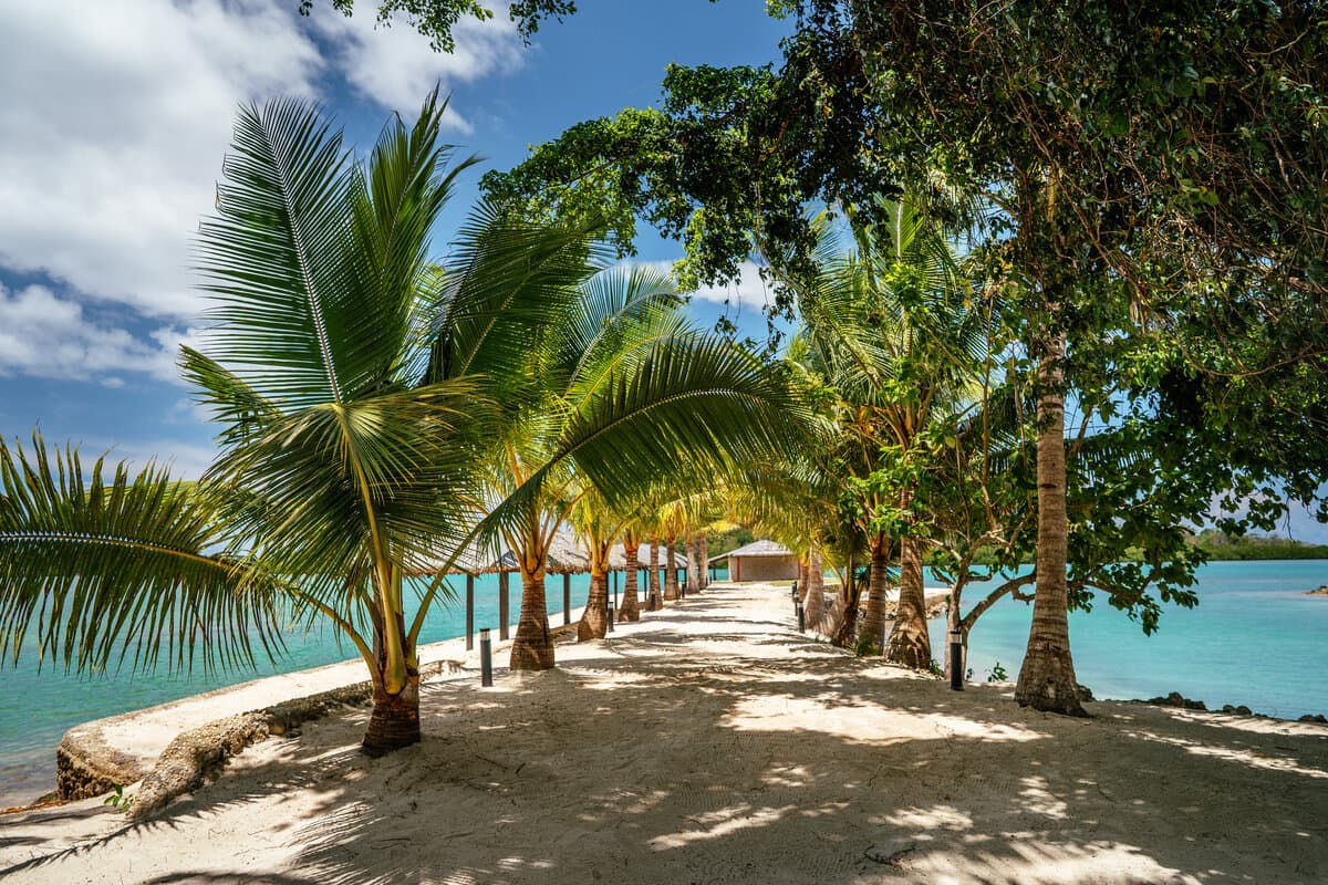 Resort grounds and palm trees